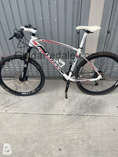 Olympia Bull scheda tecnica e recensioni